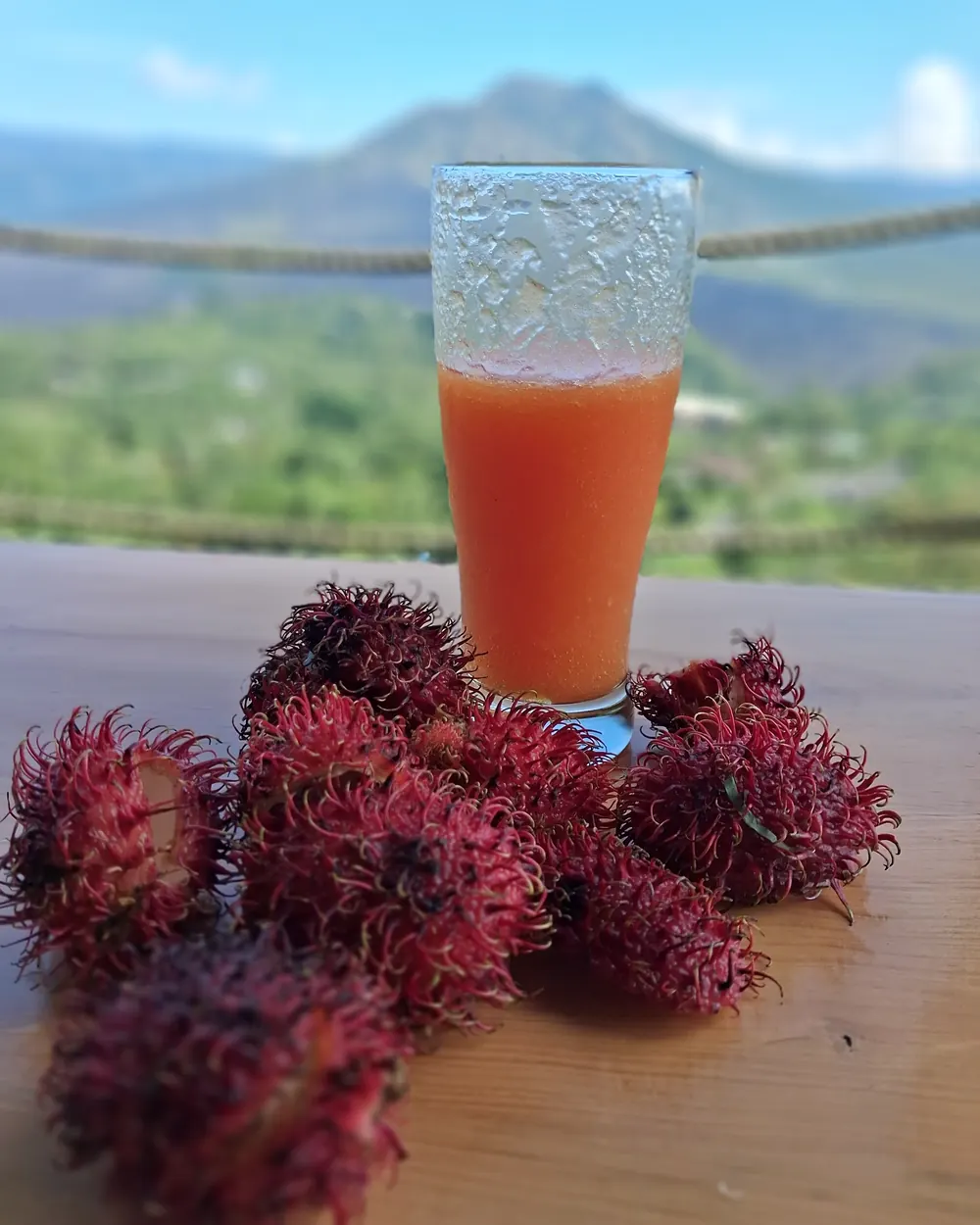 Jus de fruits frais et ramboutans, hygiène de vie et alimentation vivante