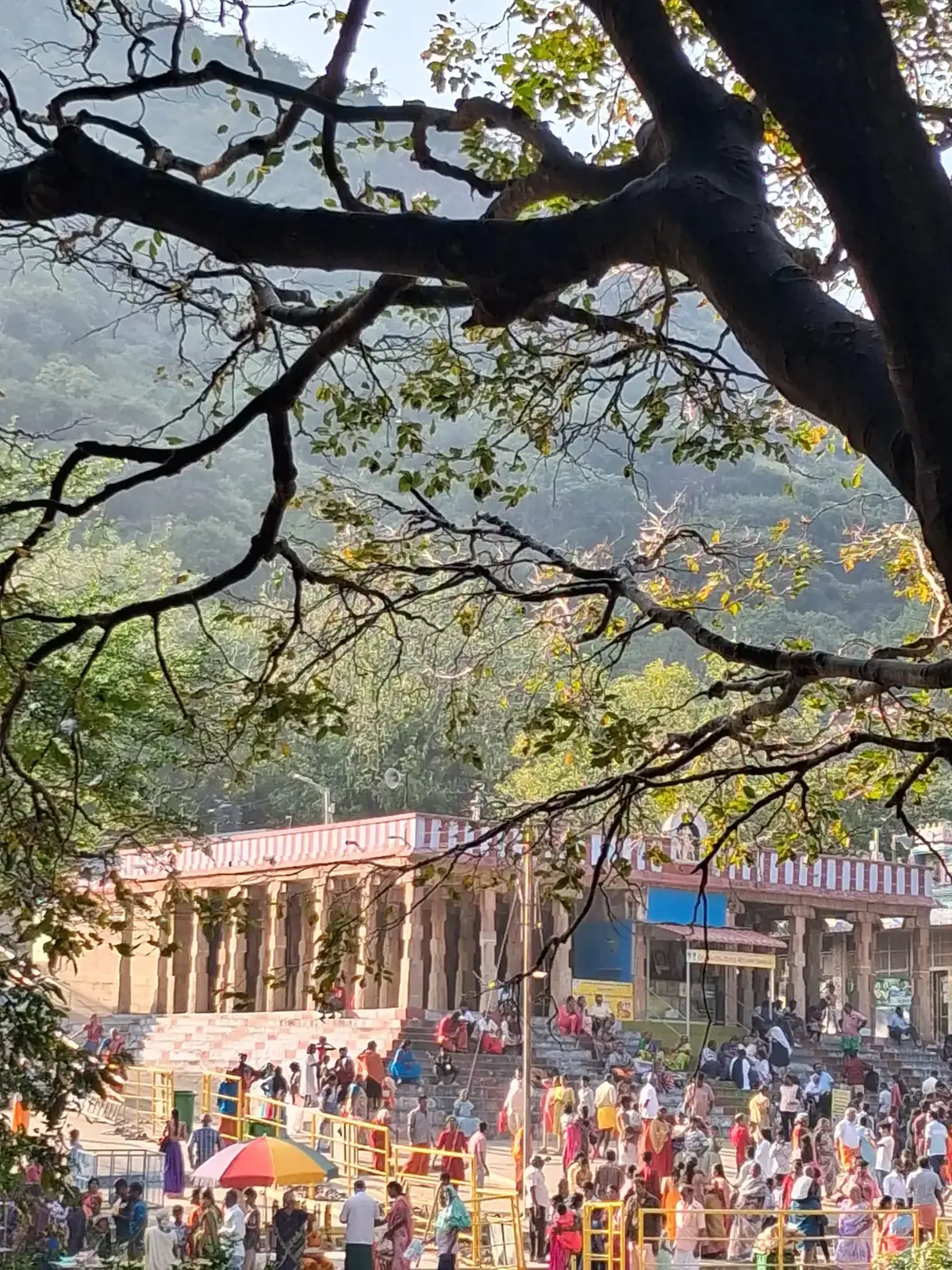 Temple en Inde, vu depuis l’ombre d’un grand arbre