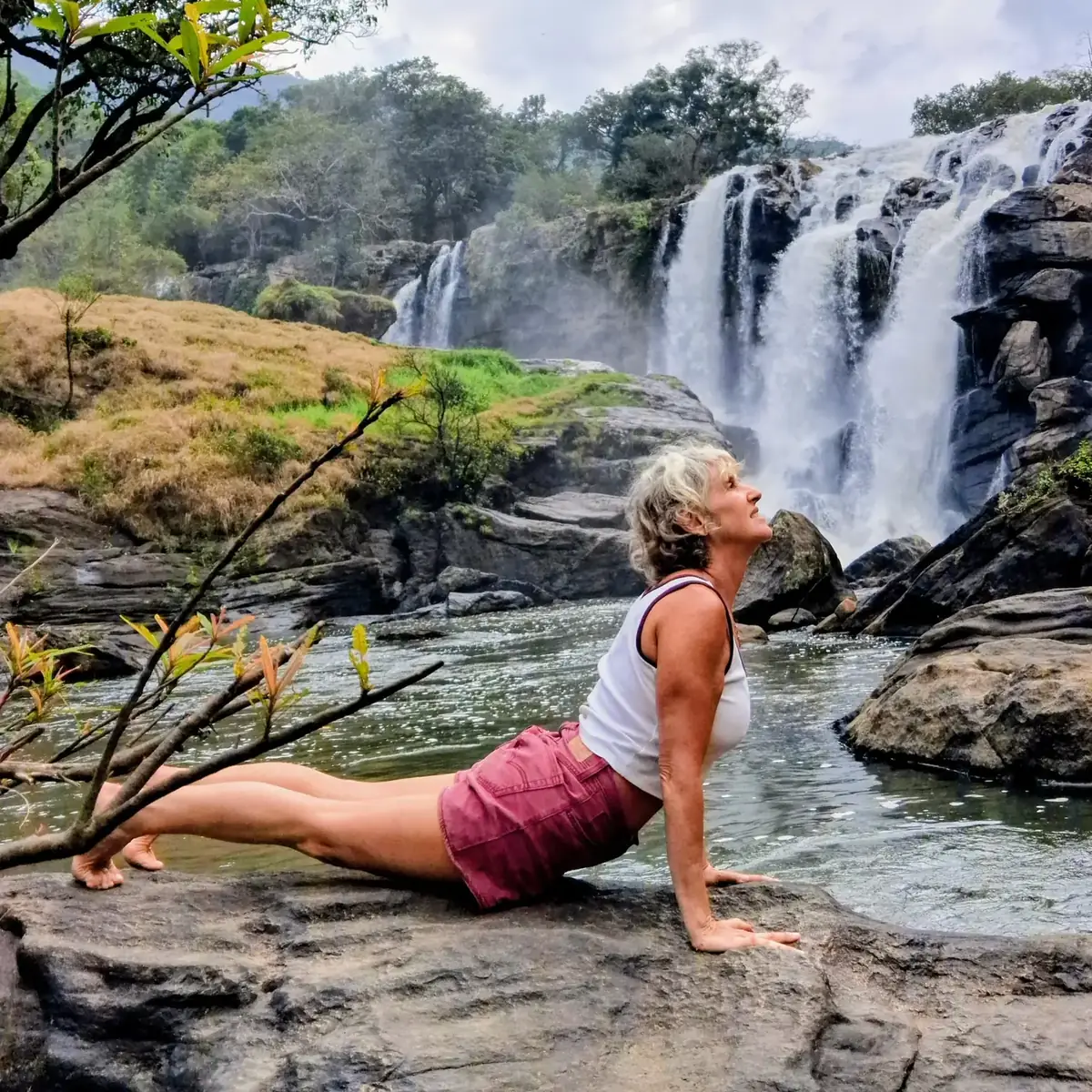 Posture du cobra sur un rocher, devant une cascade